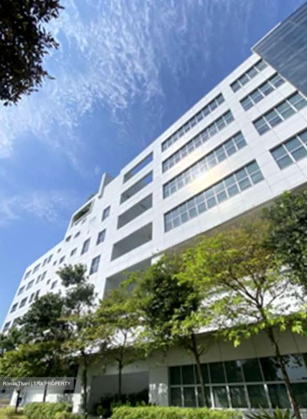 Boon Keng Road (D12), Factory #593832561